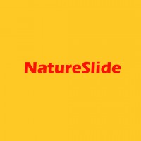 Nature Slide