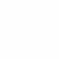 The Silicon Review