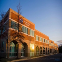 Vascular Institute