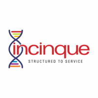 Incinque business solutions