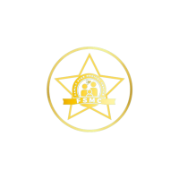 Fsmc