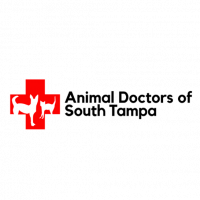 Animal Doctors of South Tampa