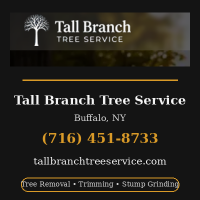 tallbranchtreeexperts