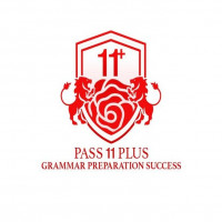 Pass 11 Plus Grammar Preparation Success