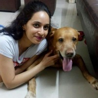 Shilpa Gupte