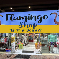 Buy Pink Flamingo