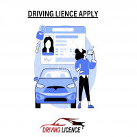 drivinglicence