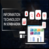 Duplex Technology Services
