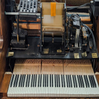 TX Pianos