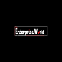 The Enterprise world