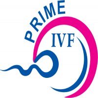 Prime IVF