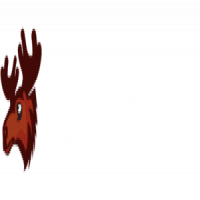 itsmoose
