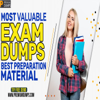 Premium Dumps