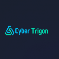 Cyber 