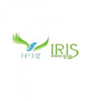 IRIS Hybrid Seeds 