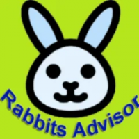Rabbits 