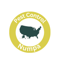 Pest Control Nampa