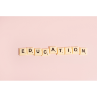 Education Adviser