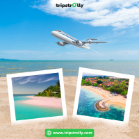 Tripstrolly