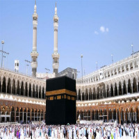 hamzawaheed