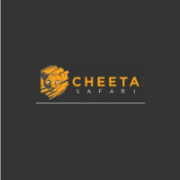 Cheetah Safaris