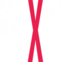 Jigyasa