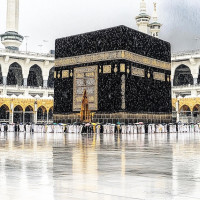 Salah Travels