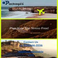 packagestrip1