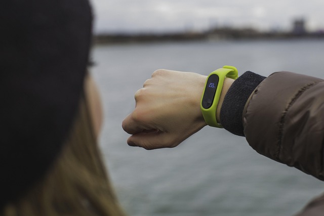 Accessories & Wearables