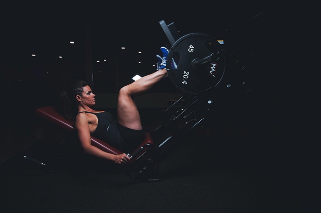 Workout Routines