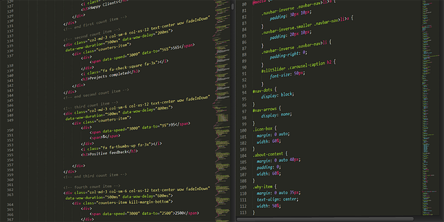 Web Development Services